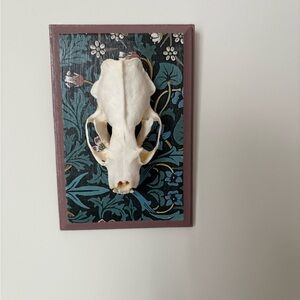 Decorative Mink Skull Wall Art with Floral Background